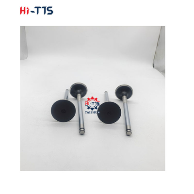 D2366 디젤 엔진 예비 부품 입수 밸브 6504101-0044