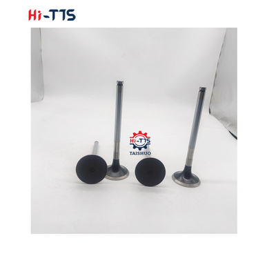 D2366 디젤 엔진 예비 부품 입수 밸브 6504101-0044