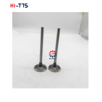 6BT 4BT 디젤 엔진 예비 부품 입수 밸브 3901117 3920867 3920868