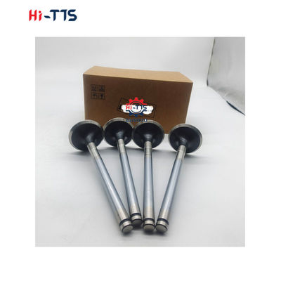 D2366 디젤 엔진 예비 부품 입수 밸브 6504101-0044