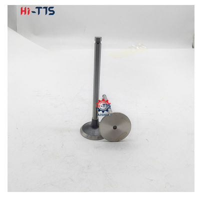 6BT 4BT 디젤 엔진 예비 부품 입수 밸브 3901117 3920867 3920868